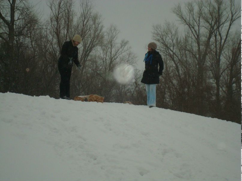 Алёна Нескажу | Саратов