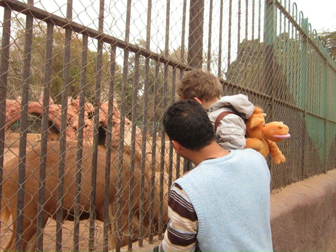 Юлия Гамаль | Taba