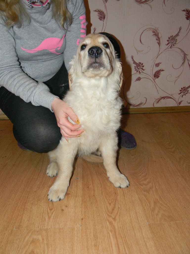 Ольга Тихонова | Чебоксары