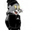 Аватар: Dhdfh Dhdhdh