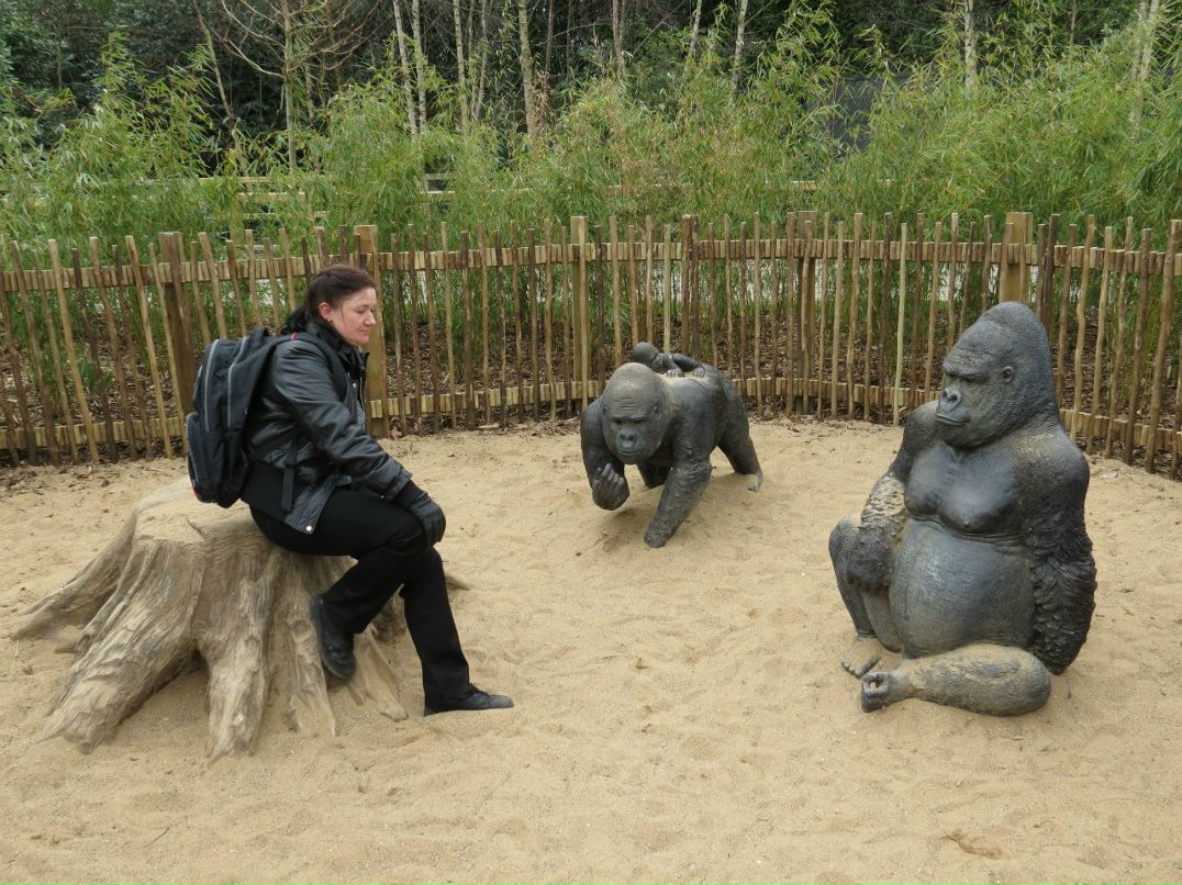 Игорь Зарапов | Санкт-Петербург