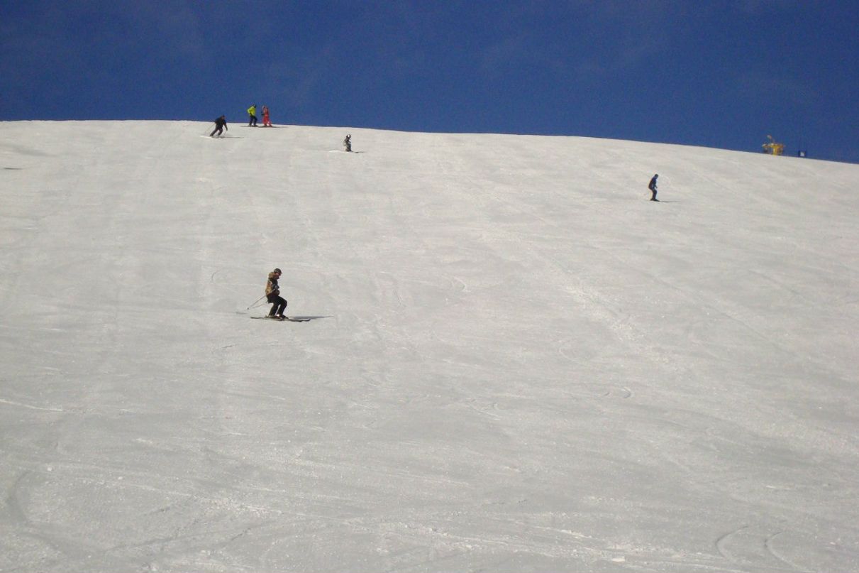 Alexey Chmelov Alexey | Киев