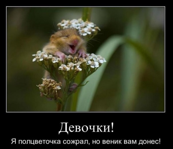 №31, Евгений Несынов, 45 лет, Владивосток №31, Евгений Несынов, 45 лет, Владивосток