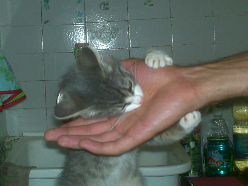 Екатерина Наседкина | Нижний Тагил