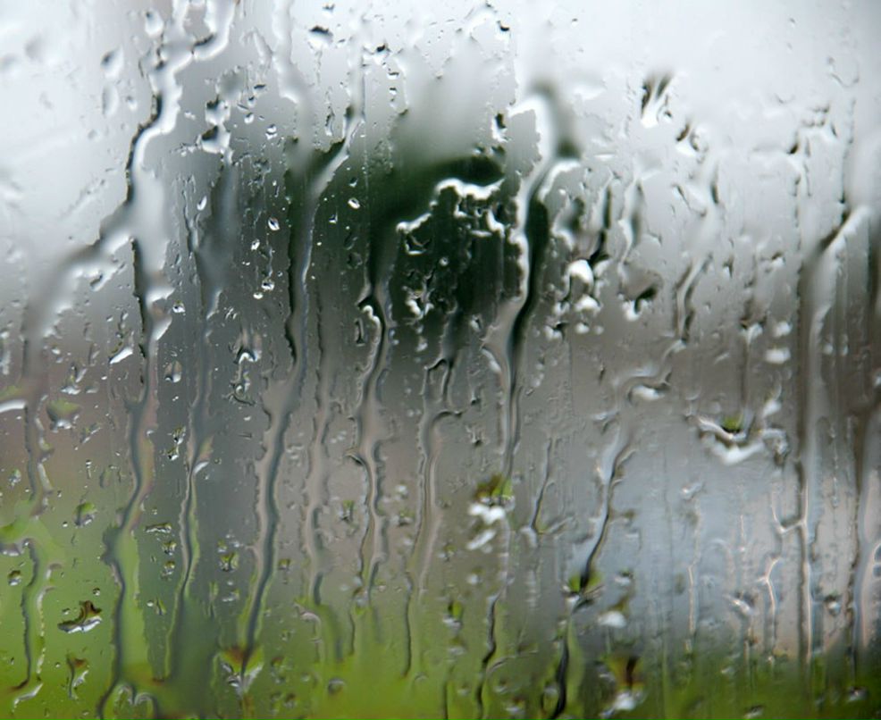 Yana Mayorova | Санкт-Петербург