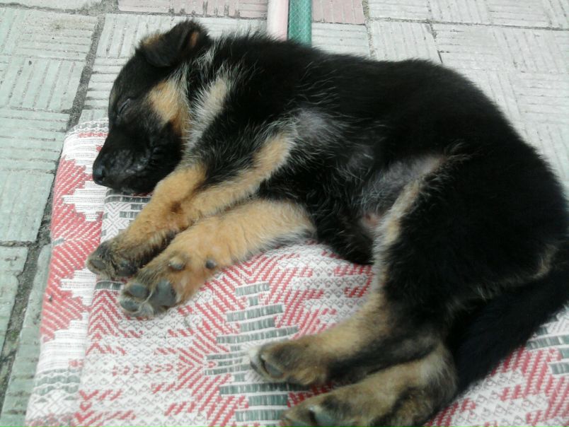 №93, Ярослав Бондарь №93, Ярослав Бондарь