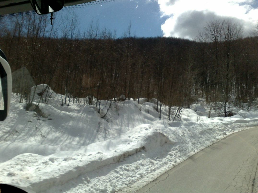 Анна Громова | Санкт-Петербург