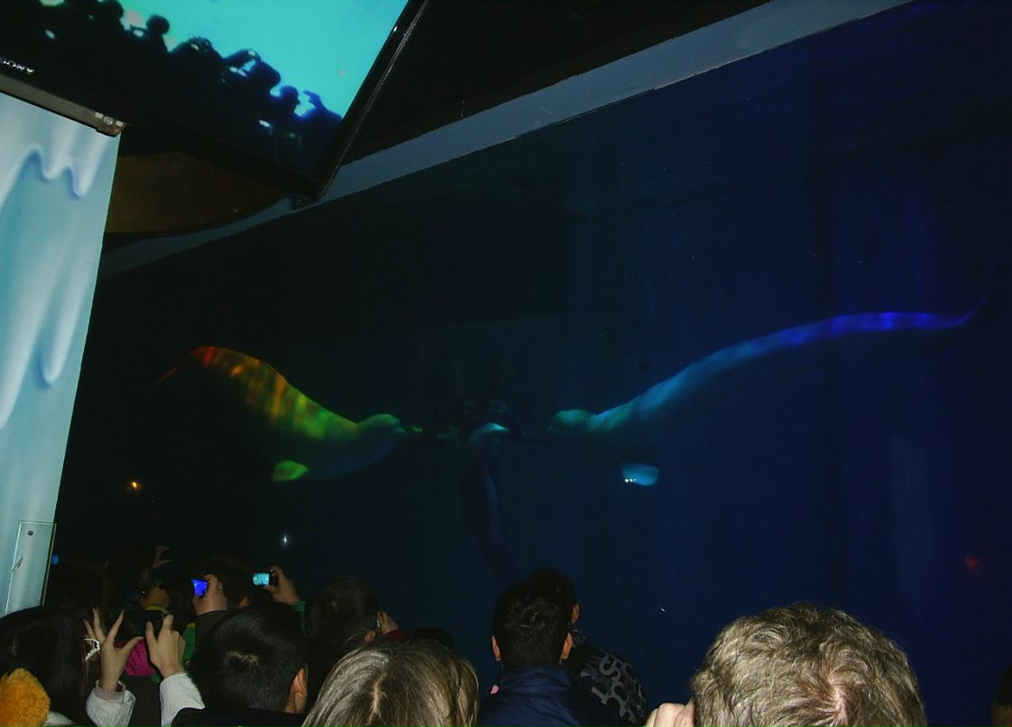 Сергей Пономарев ˙·٠✈ | Новосибирск