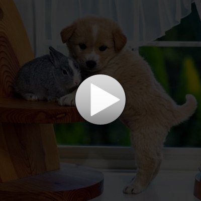 Татьяна Писемская | Днестровск