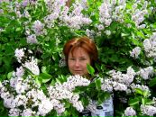 Фотография Нах Нах