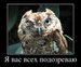 Антон Берник фотография #9 (источник - https://vk.com/id33503613)