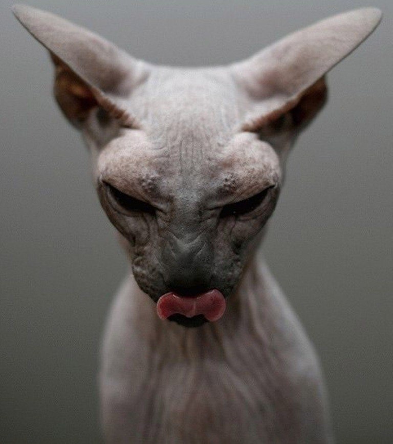 Ксения Макарова | Москва