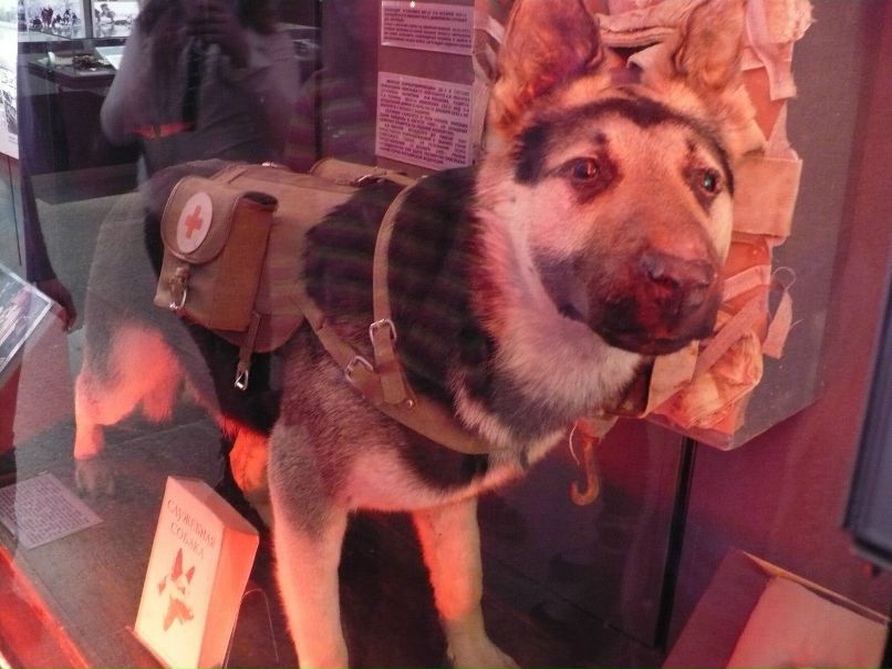 Юрий Силкин | Москва