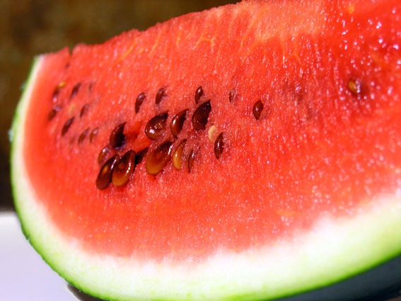 №20, Лиза Алексеева, Санкт-Петербург №20, Лиза Алексеева, Санкт-Петербург