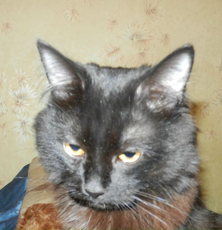 Tina Fer | Петрозаводск