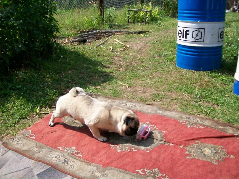 Равиль Богданов камилевич | Санкт-Петербург