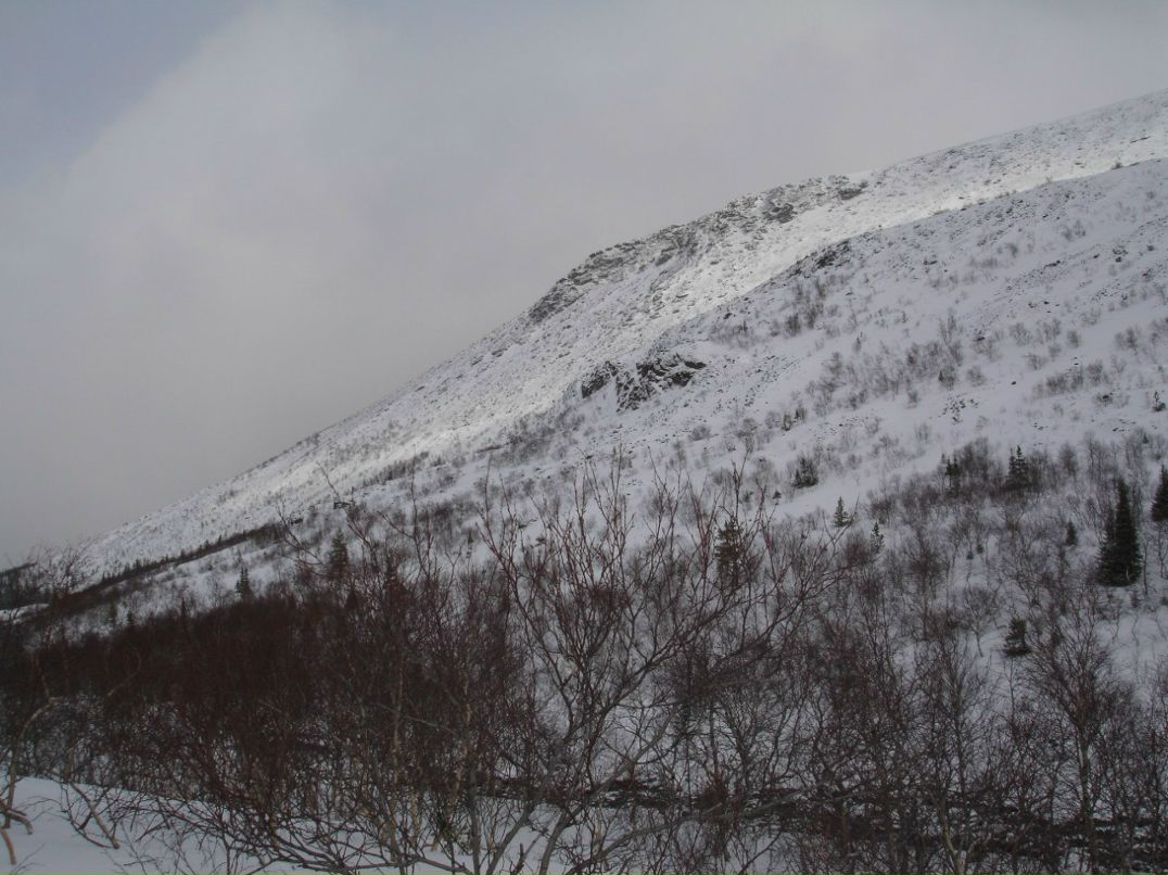 Демьян Лесик | Санкт-Петербург