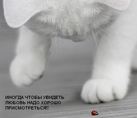 №40, Серега Хвостенко, 34 года, Москва №40, Серега Хвостенко, 34 года, Москва