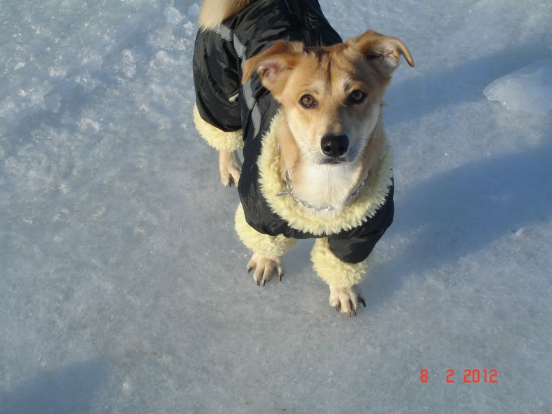 Анастасия Дубенская | Одесса