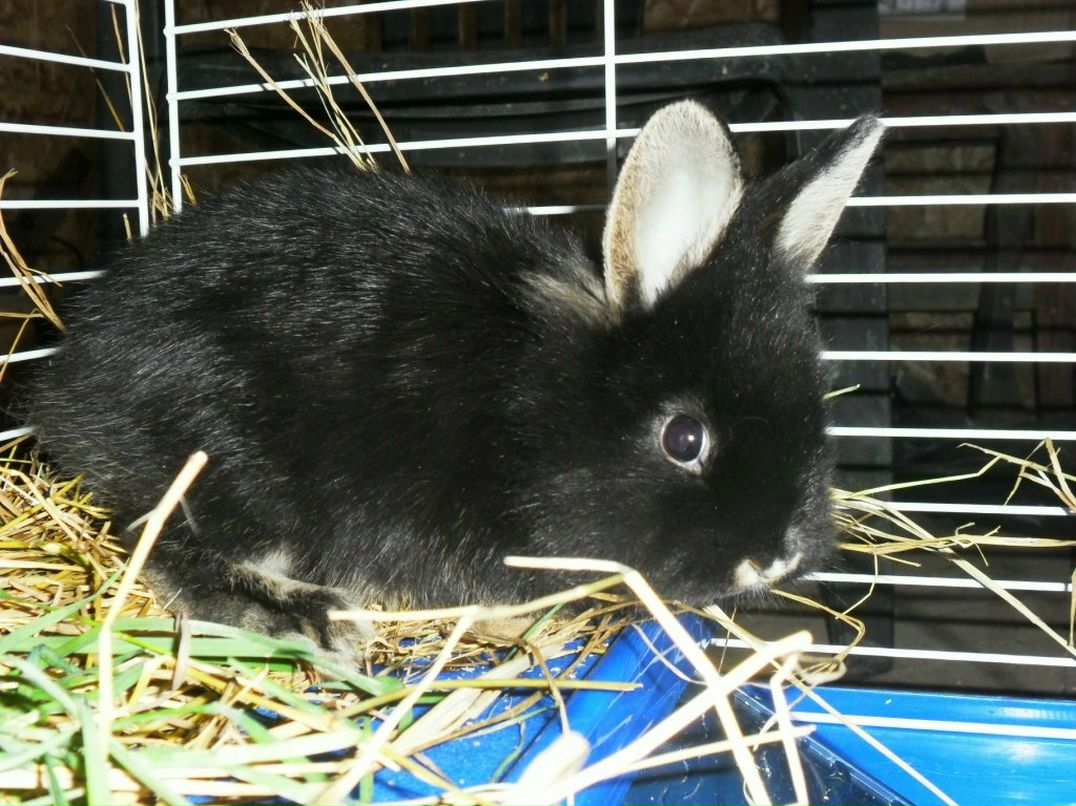 Татьяна Савченко | Владивосток