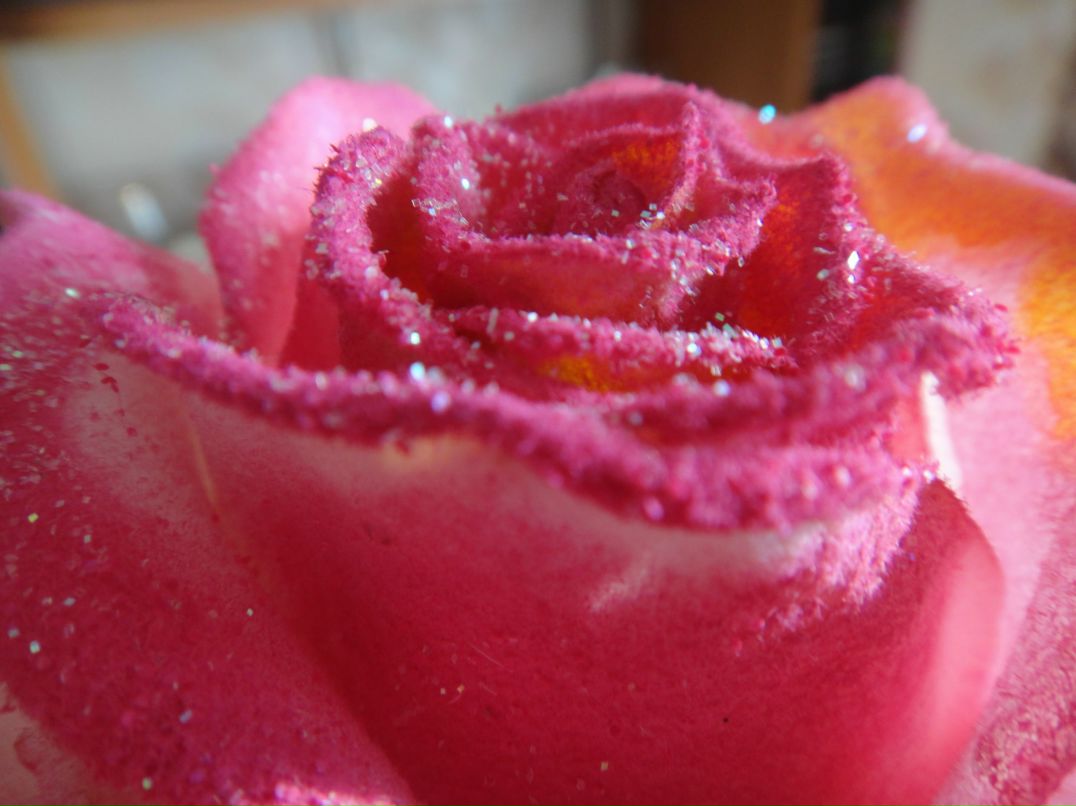 Наталья Петлицкая | Солигорск