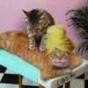 Аватар: Алиса Абрикосова