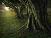 Фотография Сергей Крицкий