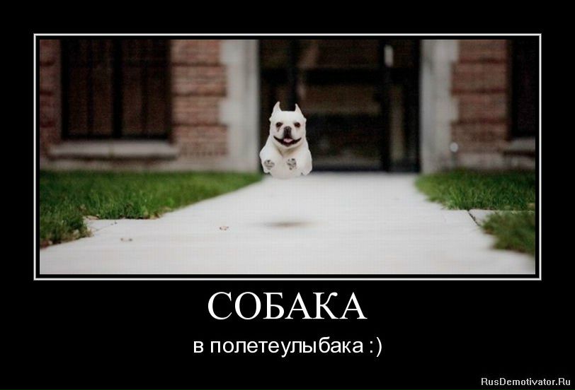 Андрей Лефутуренко | Киев