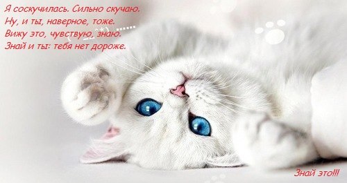 Юлия Ельчанинова ~МиЛаШкА~ | Санкт-Петербург