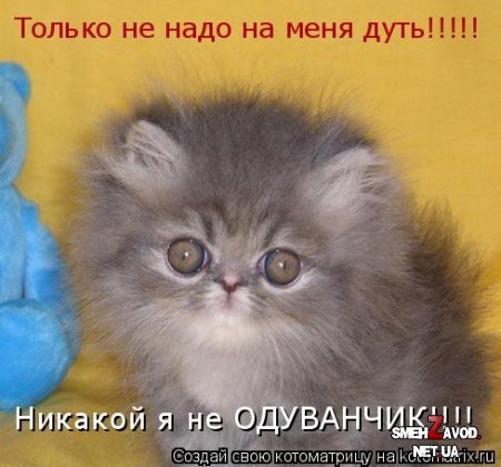 №159, Евгения Архипова, Кингисепп №159, Евгения Архипова, Кингисепп