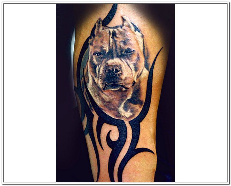 Тарас Кіба | Дрогобыч