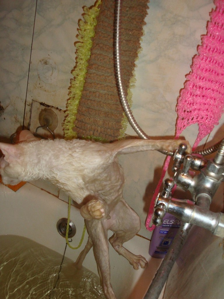 Миня Михалыч | Екатеринбург