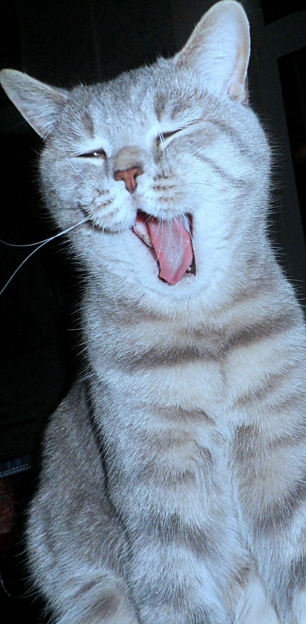 Татьяна Тумовская | Москва