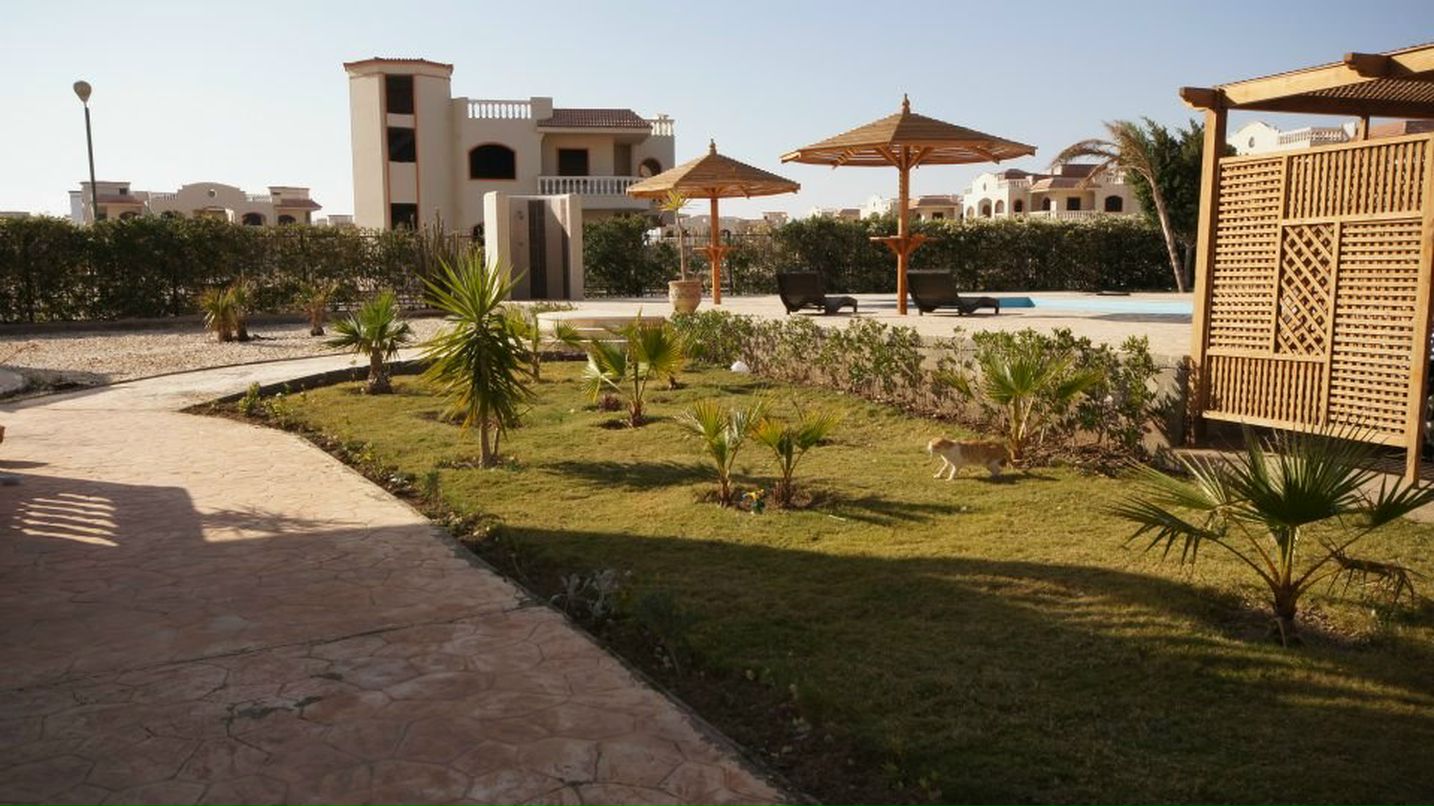 Алла Зорькина | Саранск