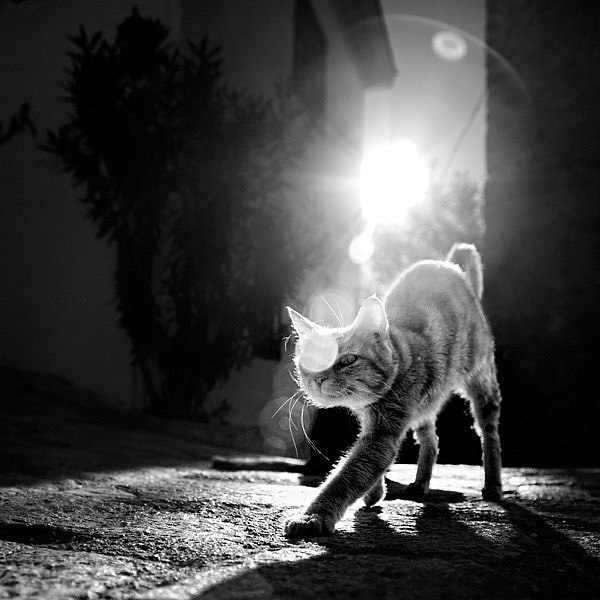 Женя Бондаренко | 