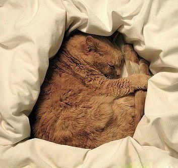 Алла Сенько | Одесса