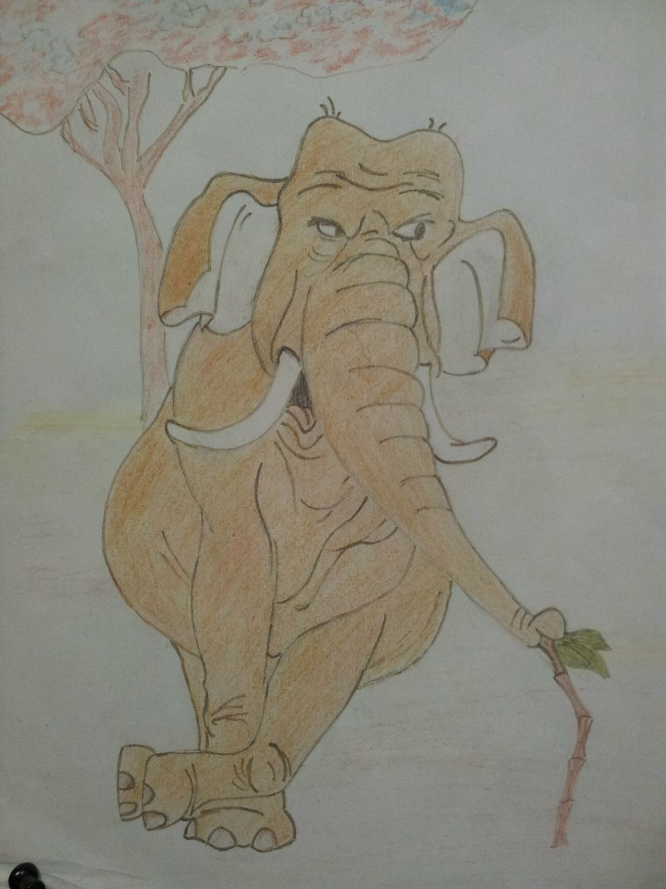 Николай Жгулёв | Санкт-Петербург