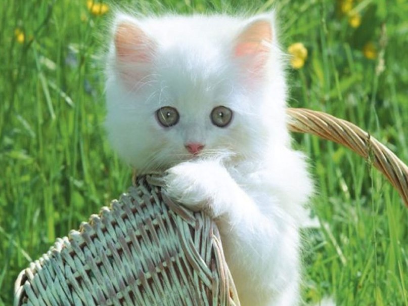 Денис Валиев | Нижнекамск