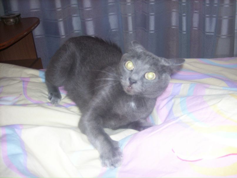 Марыся Русских | Новосибирск