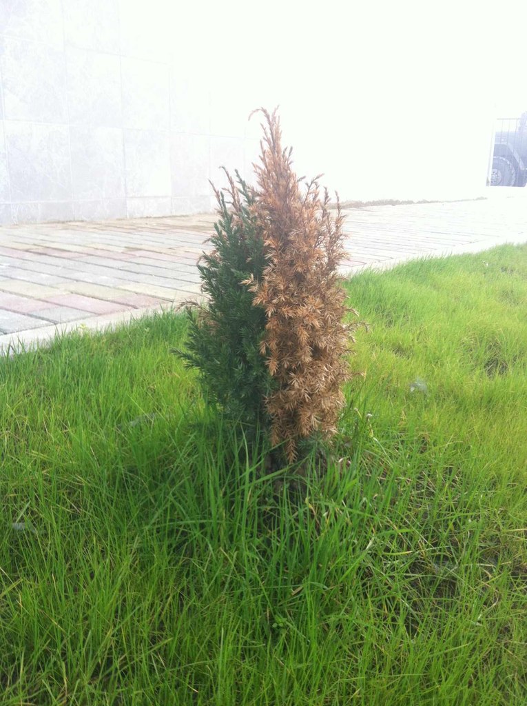 Макс Клочков | Санкт-Петербург