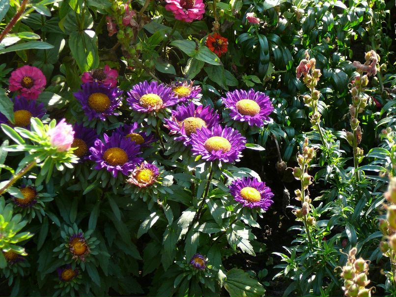 Наталья Сторожева | Брянск