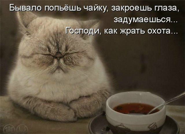 №48, Аня Братчикова, 36 лет, Волжский №48, Аня Братчикова, 36 лет, Волжский