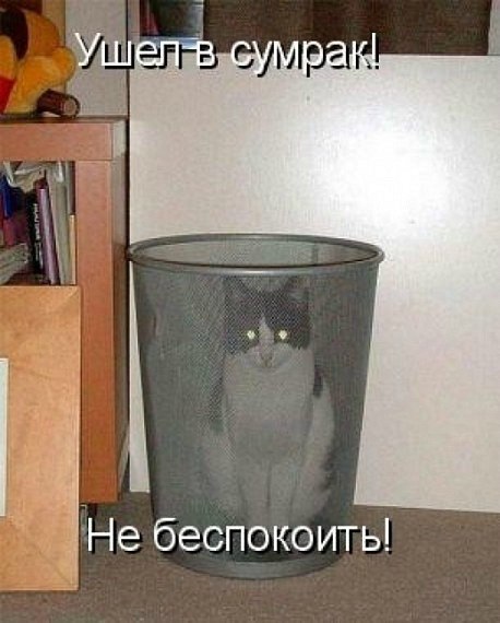 Мария Моисейчева | Киев