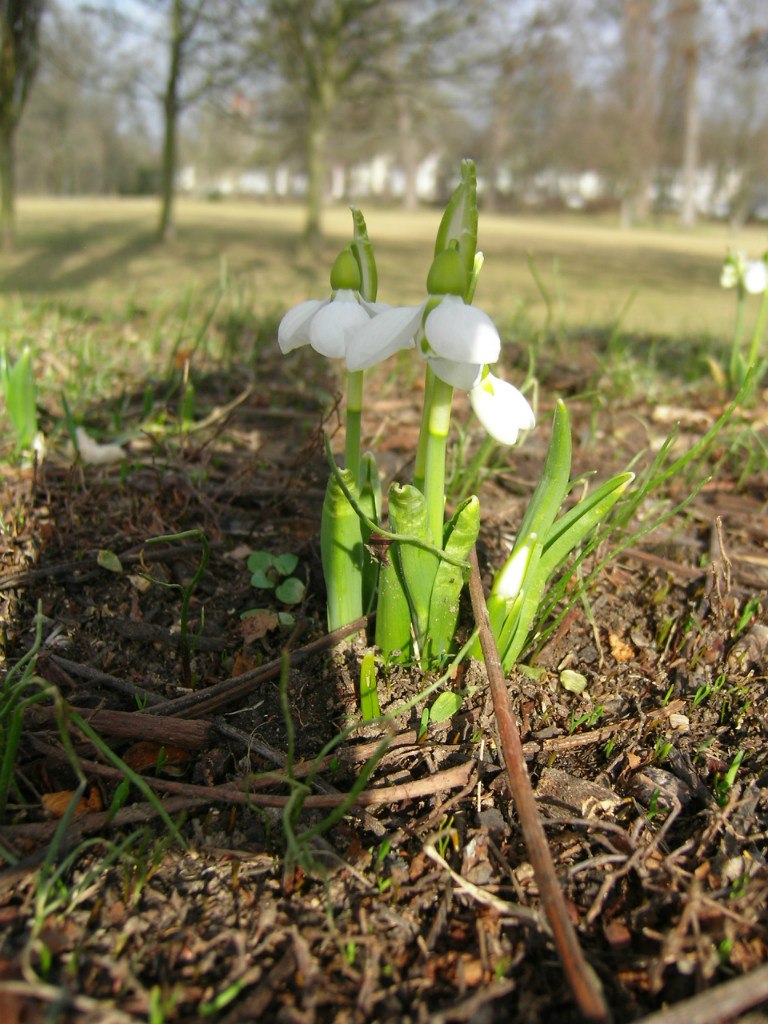 Наталия Лютц | Wiesbaden