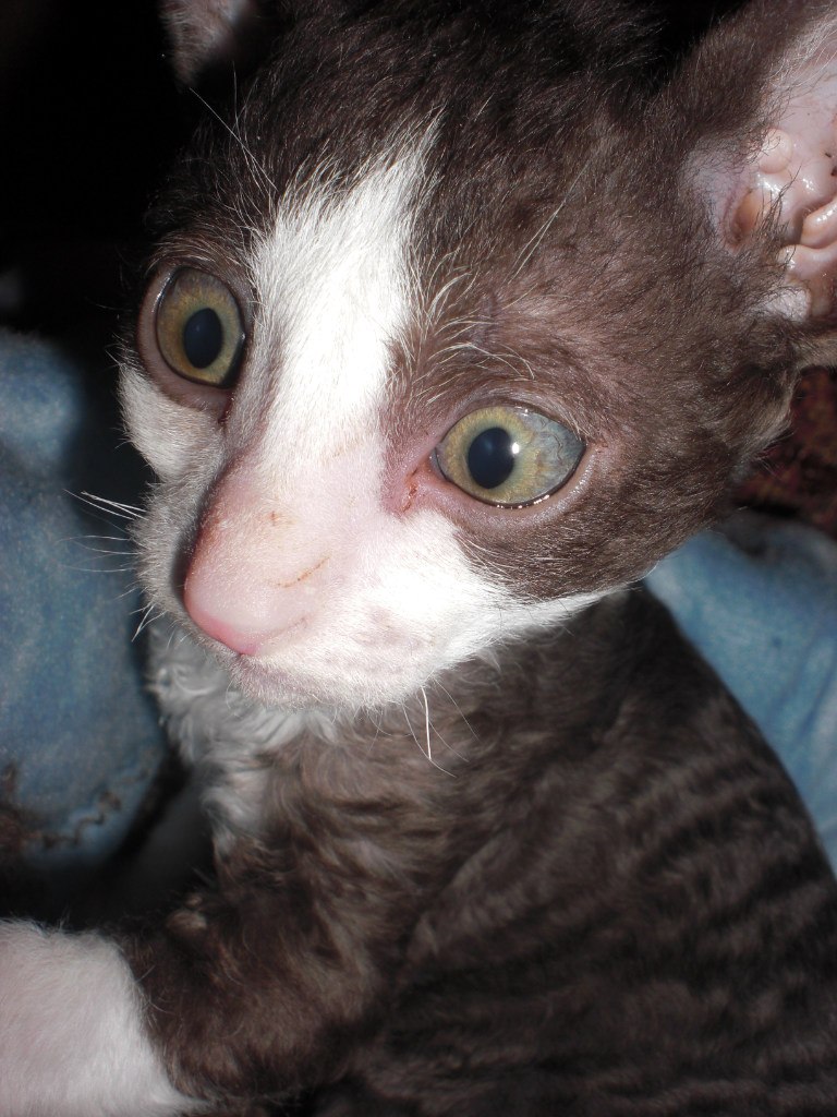 Юлия Лукина | Гатчина