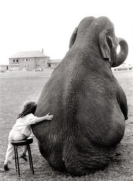 Kate Plotnikova | Москва