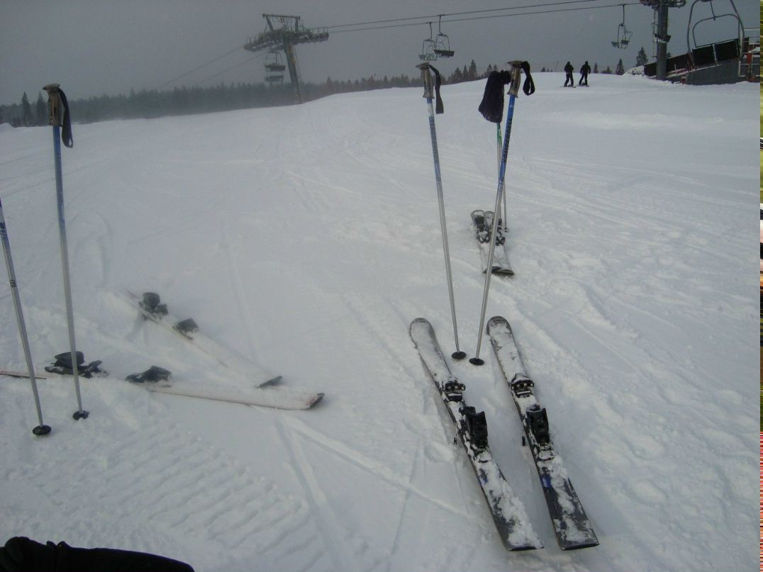 Павел Мешечкин | Санкт-Петербург