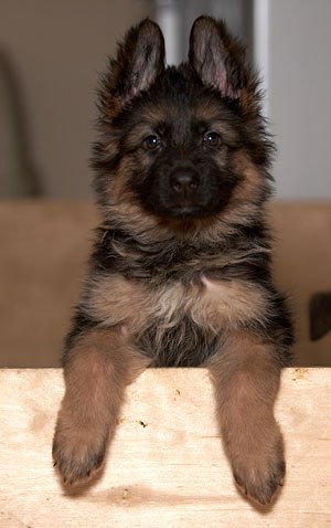 Игорь Битковский | Киев