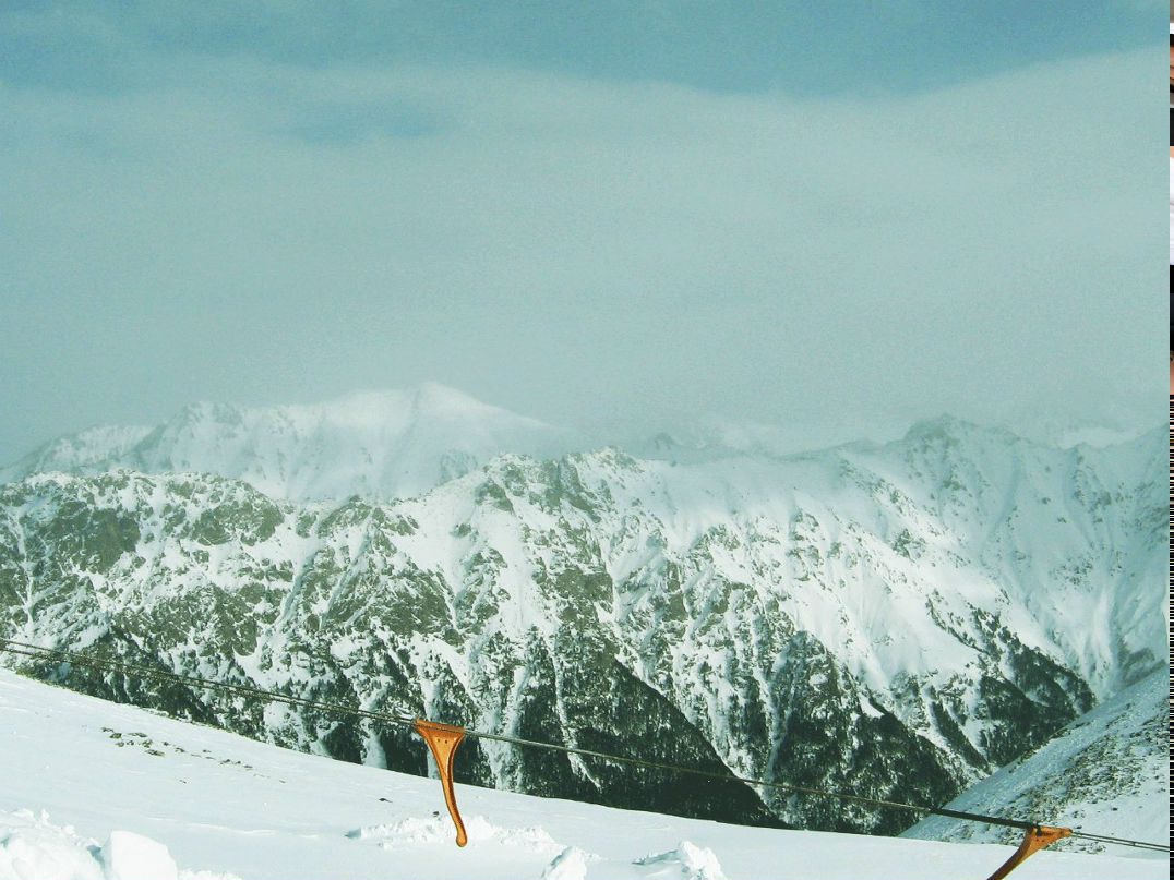 Olga Prokhorenko ♥♥ | Москва