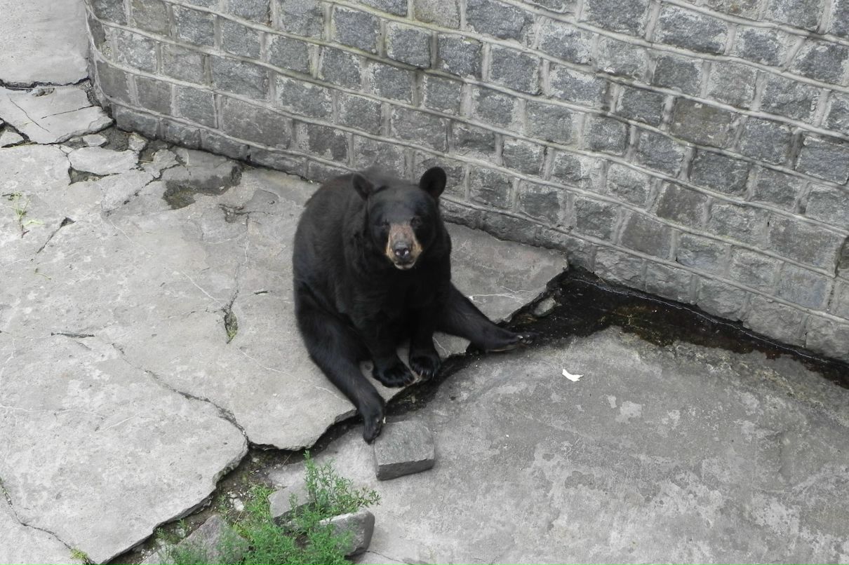 Ник Вдо | Санкт-Петербург